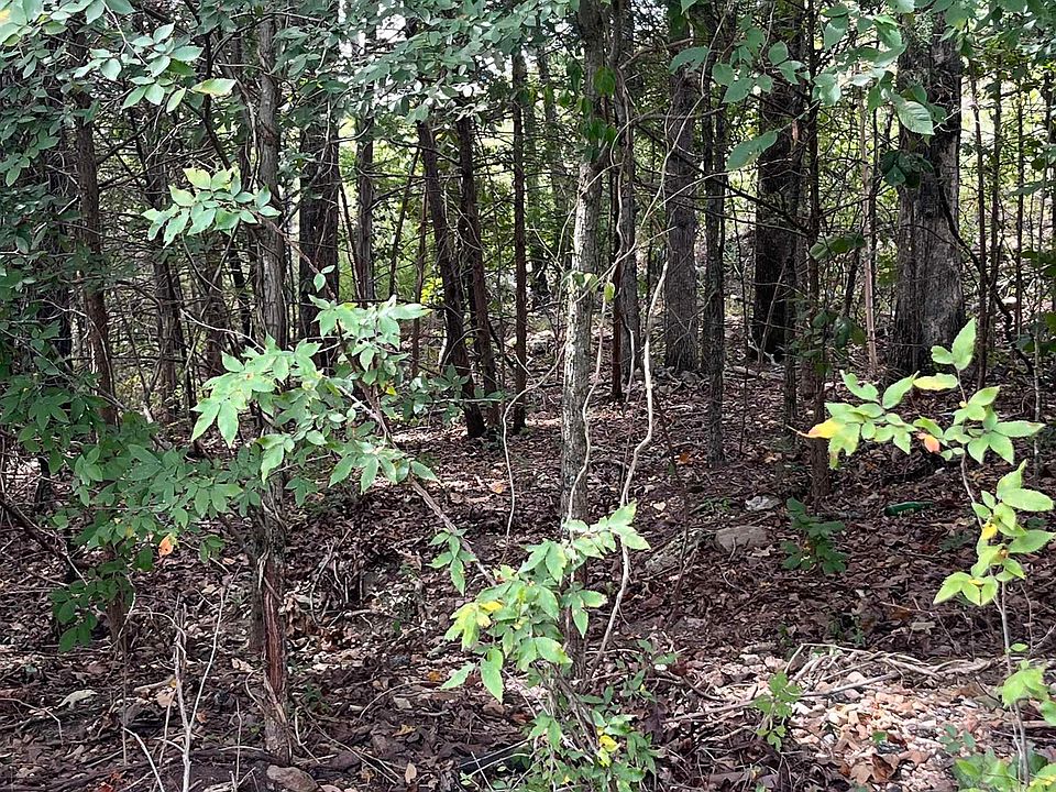 247 E Half Moon Ct LOT 4, Mountain Pine, AR 71956 MLS 23028609 Zillow