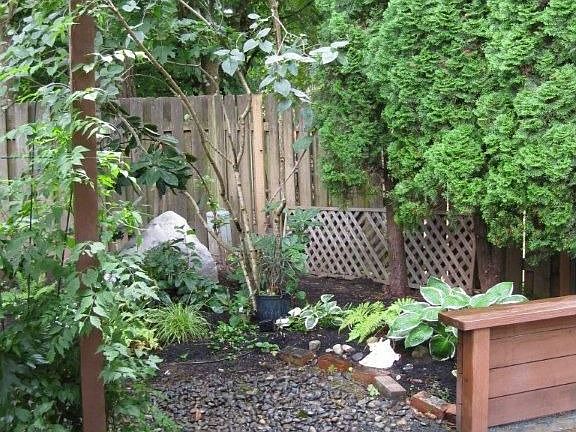 Shade garden