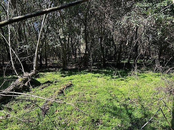 4th image of Ll204/26 Dot Harvey Rd