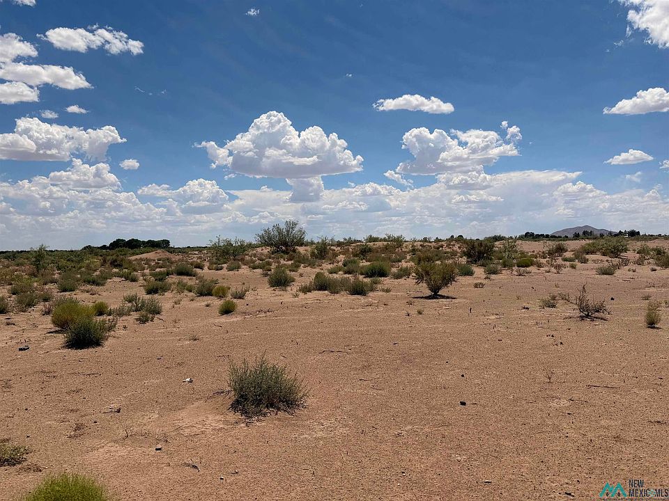 2nd image of Earl Scott Trl SW