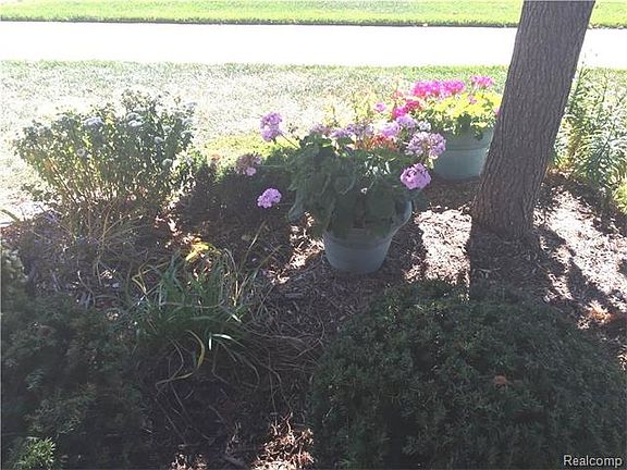 5th image of 22613 Cass River Dr