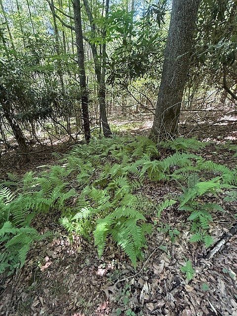 1st image of TBD Lot 20 High Meadows Lane