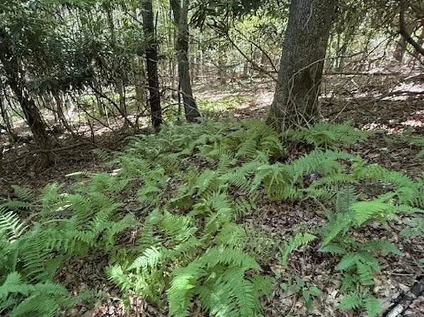TBD Lot 20 High Meadows Lane, Fleetwood, NC 28626