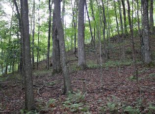 Curry Rd, French Creek, WV 26218