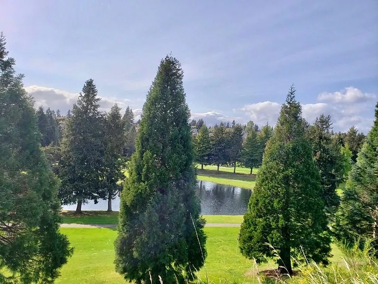 3714 Spyglass Dr — Photo 17
