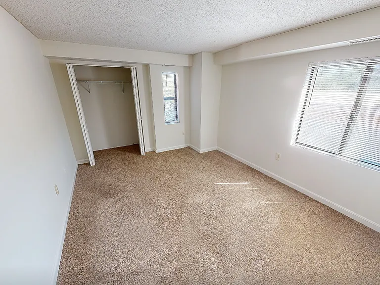 16 Elmer Street — Photo 5