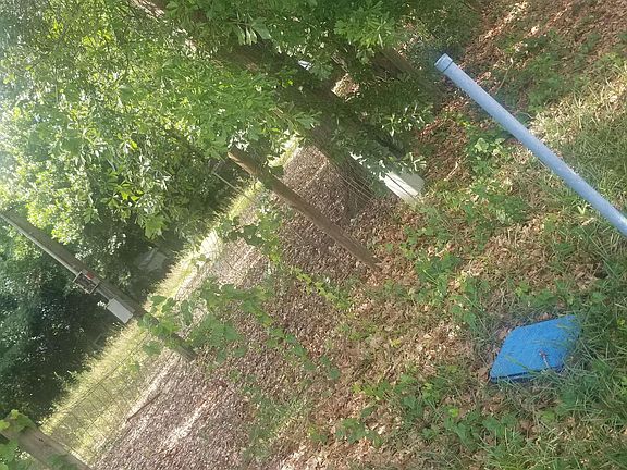 2nd image of 485 Lakeshore Dr