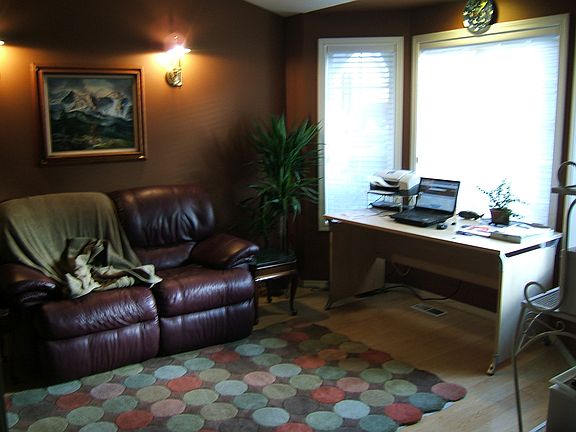 Den with build in desk/shelves