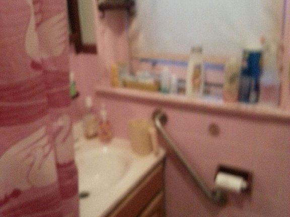 5th image of 1503 S Lindenwood St