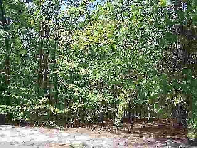 1st image of tbd Danville Lane