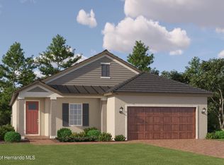 10868 Ibis Brook Ct, Land O Lakes, FL 34638