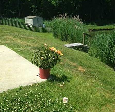 3rd image of 1712 Calm Wood Ln