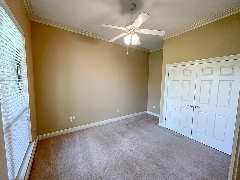 Back Bedroom