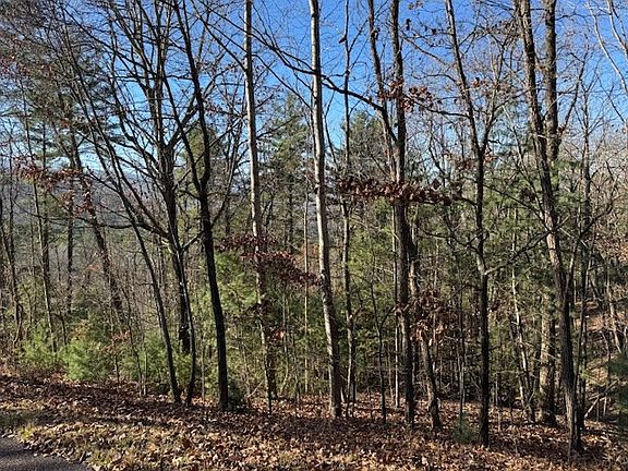 5th image of 51 Sunny View Dr