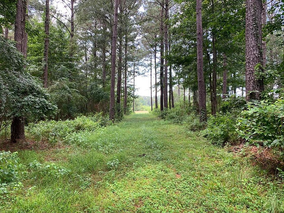 1st image of LOT 2 Highway 51 N