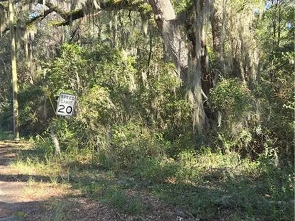 0 Mentionville Rd SW, Darien, GA 31305