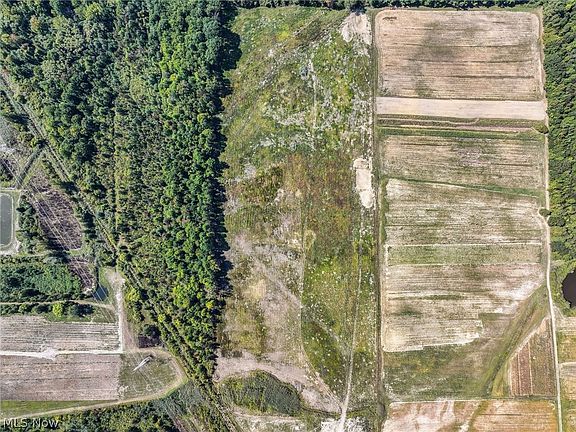 3rd image of 3320 Perry Park Rd