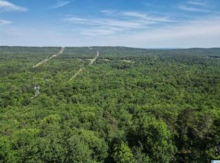 315 Lake View Cir, Vandiver, AL 35176