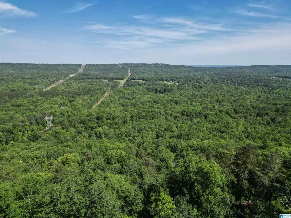 315 Lake View Cir, Vandiver, AL 35176