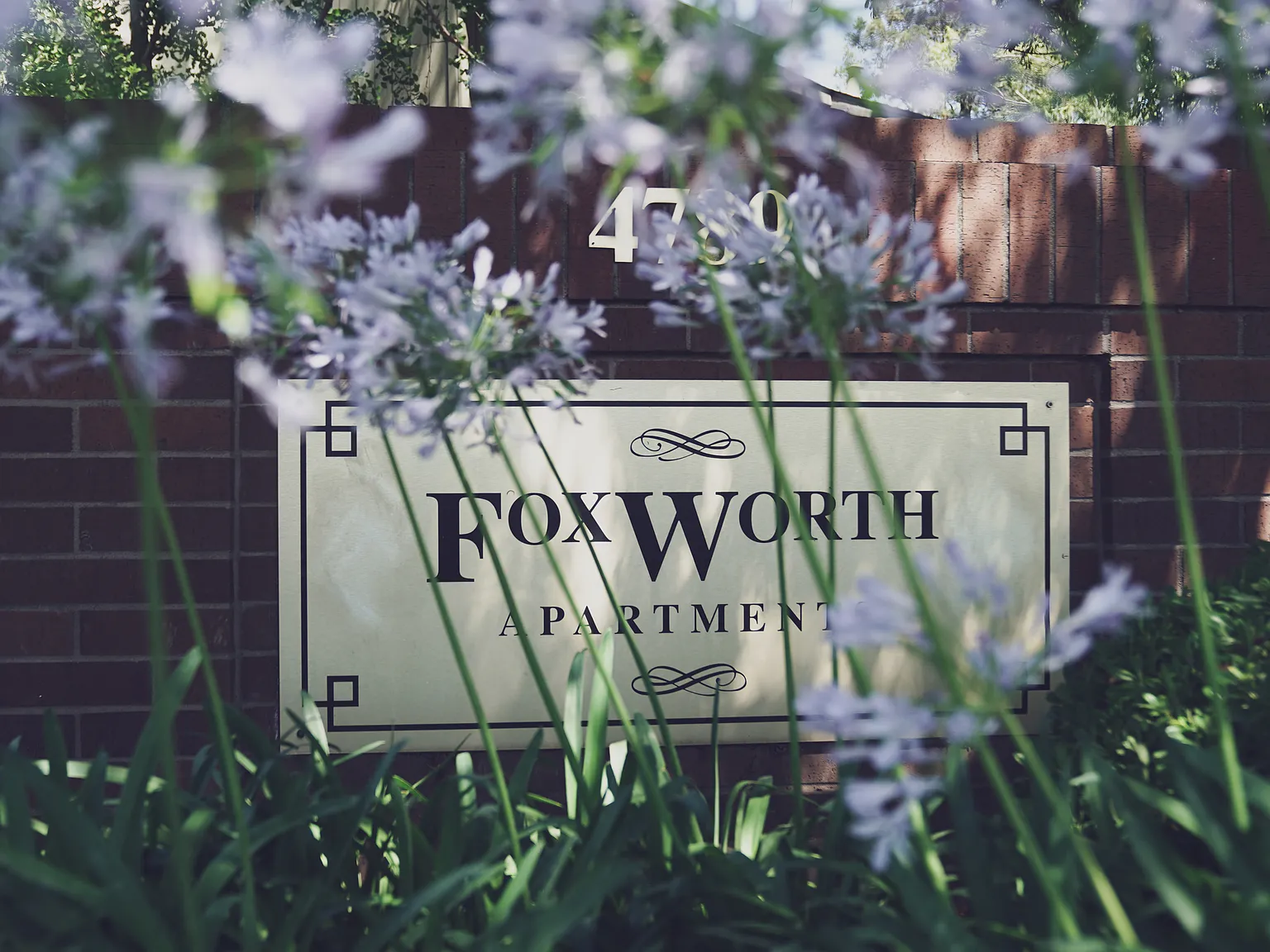 Foxworth Apartments — Photo 4