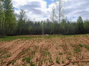 2nd image of 204 Deer Thicket Way