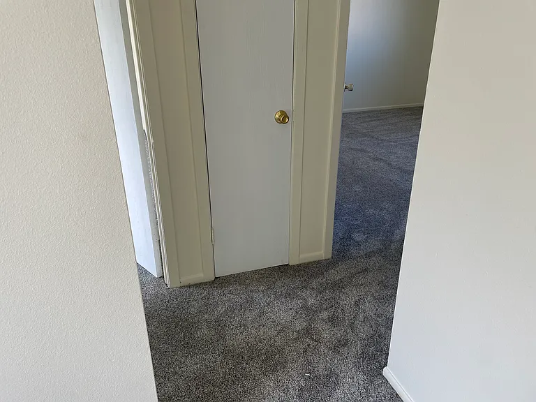 260 Honeysuckle St #2 — Photo 3