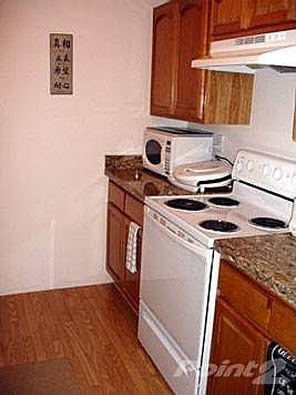 Nicely equipped kitchen