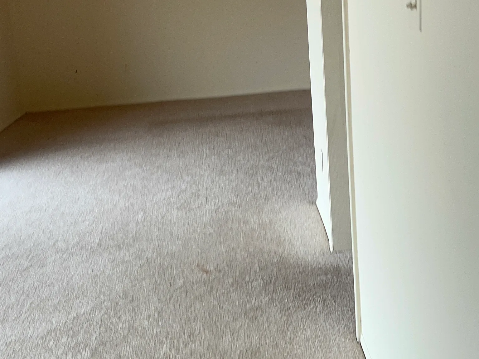 2 bed, 1100 sqft, $2,250 — Photo 2