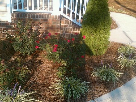 Well-maintained landscaping.