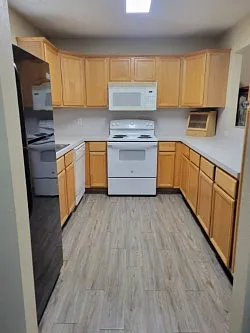 937 Crepe Myrtle St — Photo 4