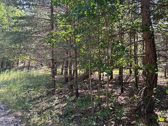 5th image of 0 W Briar Hill Dr