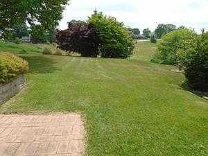back yard