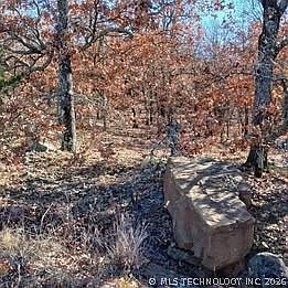 2nd image of 1 Mile