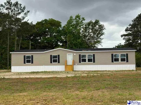 1006 Gause Canal Rd, Coward, SC 29530