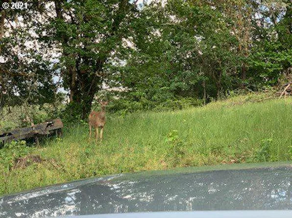 187 Karenza Ln, Roseburg, OR 97471