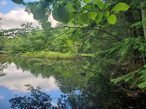 2nd image of Lot #36 Beaver Brook Road