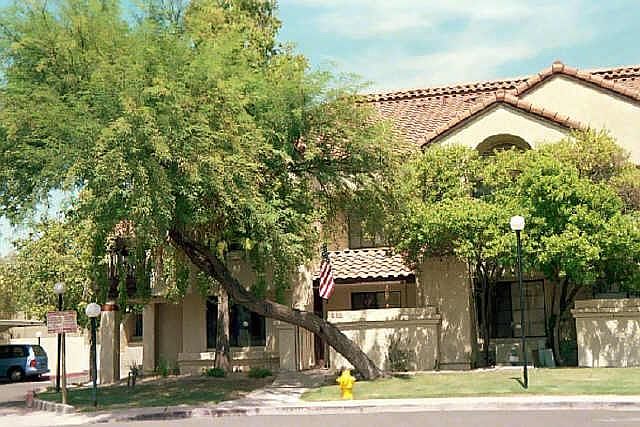 1st image of 700 E MESQUITE Avenue #P 113