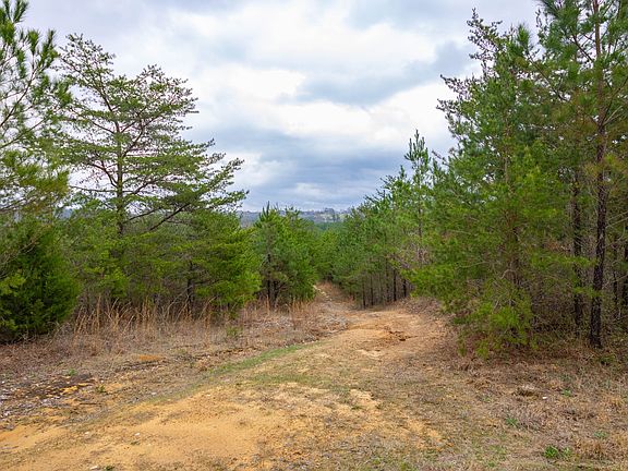 2nd image of 0 County Road 405