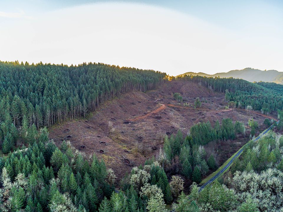 1st image of 1240 Indian Creek Dr