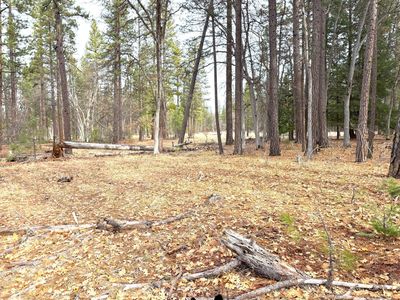 Vanishing Pines Rd, Fall River Mills, CA, 96028