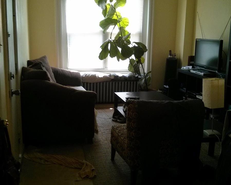 1st image of 1523 Mifflin St Fl 1ST
