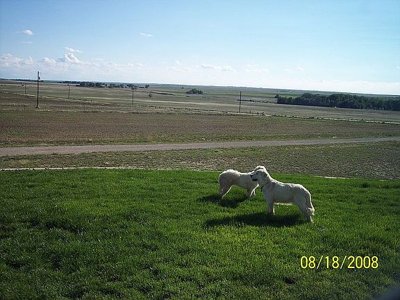 Yard prior to fire