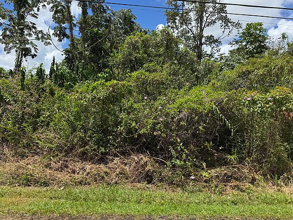 4th image of King Kamehameha Blvd Lot 54