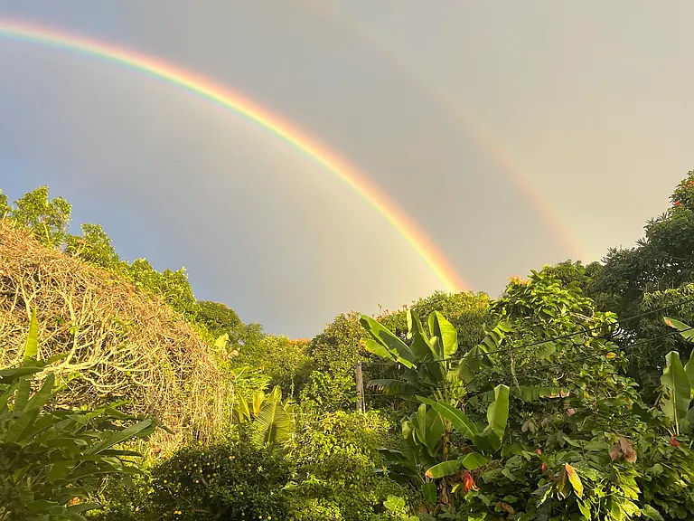 Backyard, Mauka View