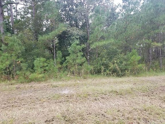 3rd image of 401 Sherrow River Dr SW