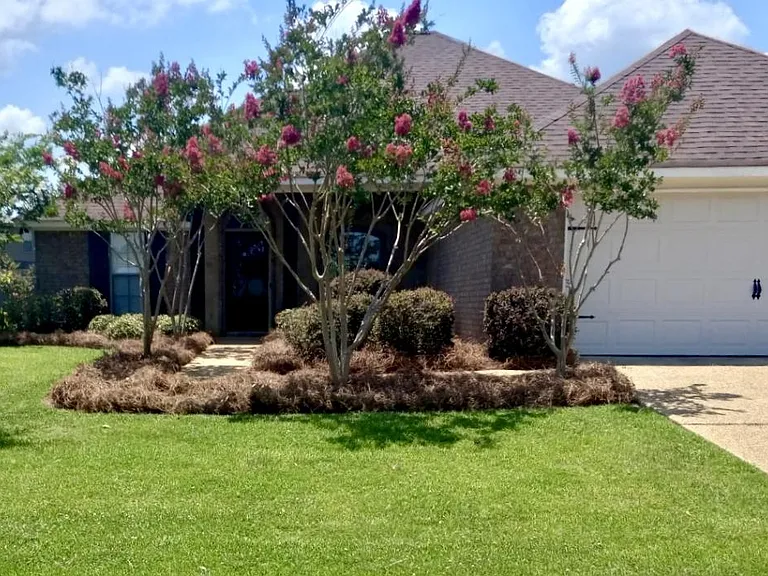 109 Millhouse Dr — Photo 1