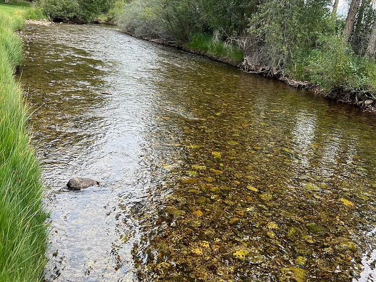 1,000 feet of private Cottonwood Creek on property