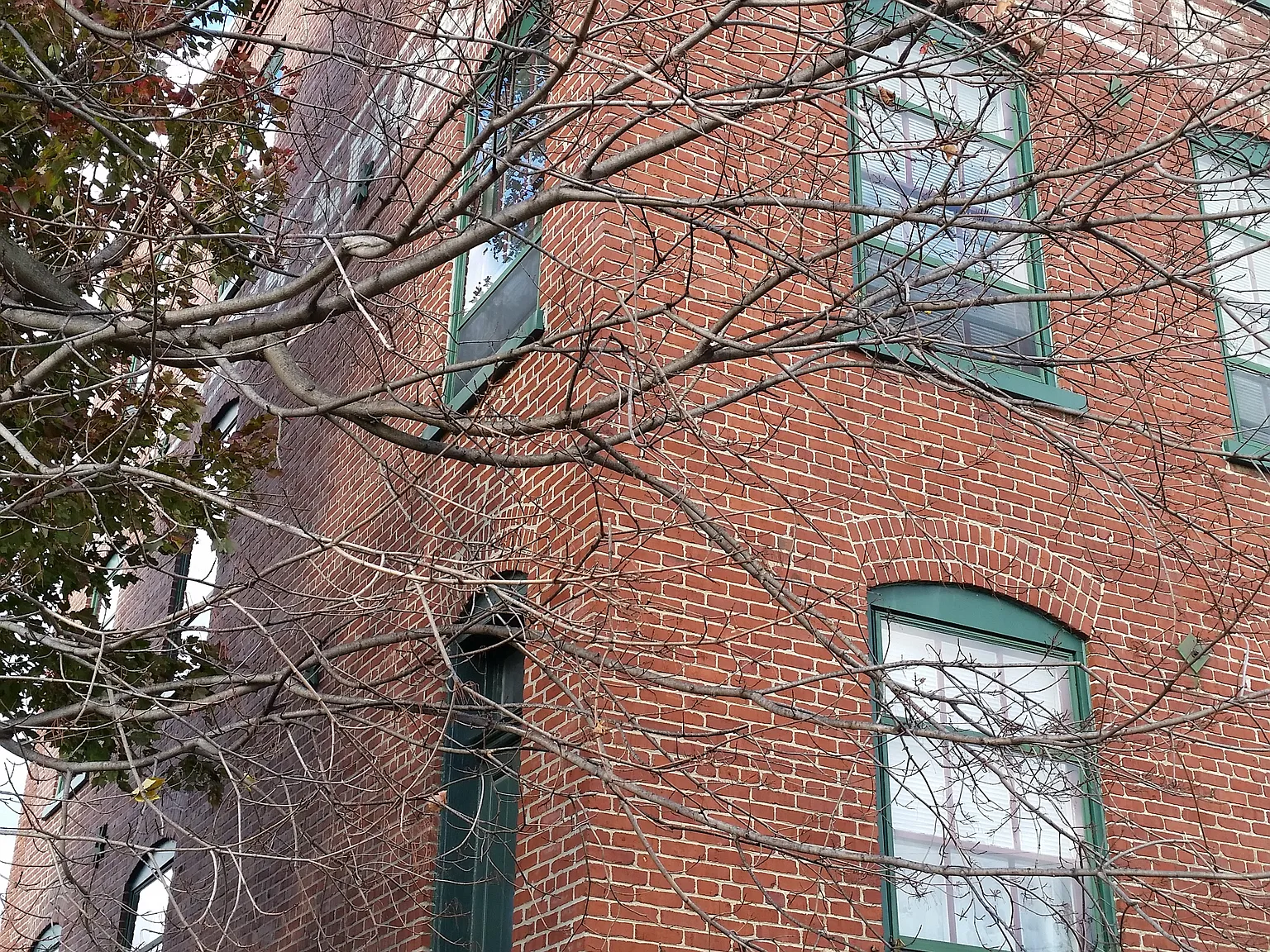 Shoe Factory Apartments — Photo 2