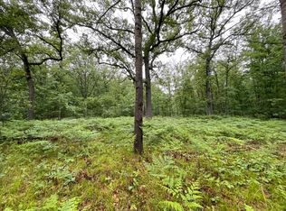 339 Starlight Rd, Roscommon, MI 48653