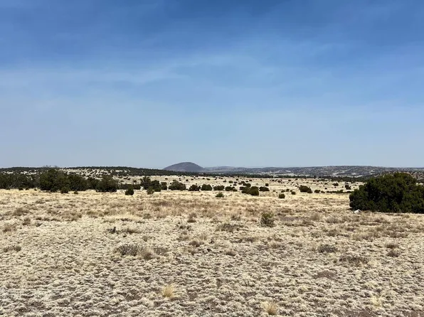 51 Hide Away Rd, Quemado, NM 87829